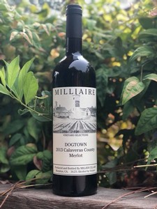 2013 Dogtown Merlot