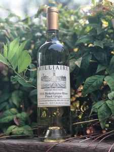 2016 Mokelumne River Pinot Grigio